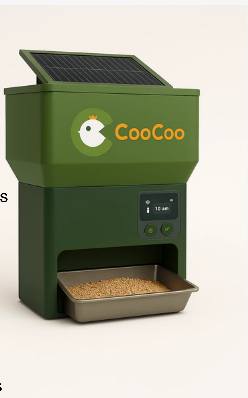 CooCoo smart chicken feeder concept